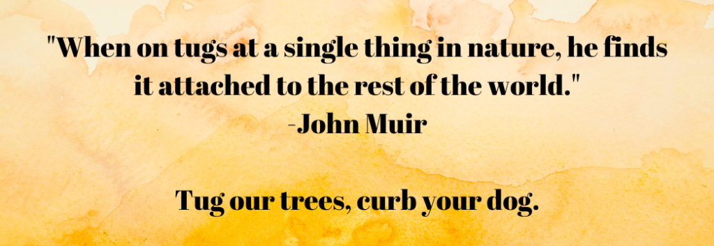 "When on tugs at at single thing in nature, he finds it attached to the rest of the world." -John Muir. From Making 'Curb Your Dog' Signs' - Signs of the Beautiful