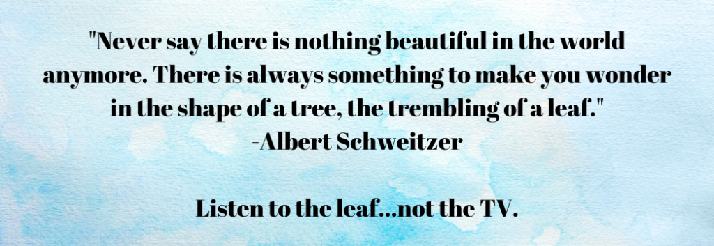 "Never say there is nothing beautiful in the world anymore. There is always something to make you wonder in the shape of a tree, the trembling of a leaf." -Albert Schweitzer. From Making 'Curb Your Dog' Signs' - Signs of the Beautiful