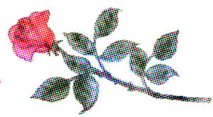 Rose drawn with pixils. From "Seeing 101"