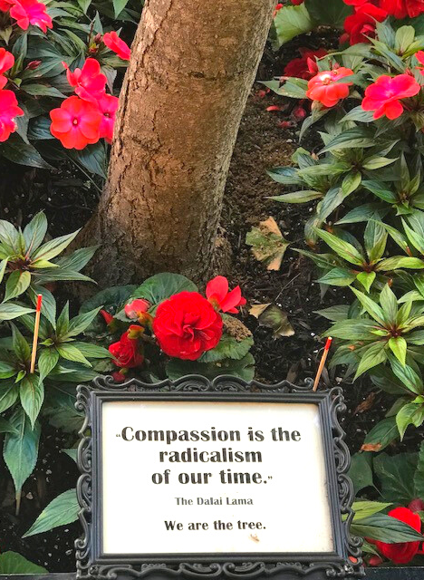 "Compassion is the radicalism of our time" -the Buddha