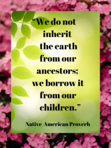 “We do not inherit the earth from our ancestors; we borrow it from our children.”Native American Proverb 