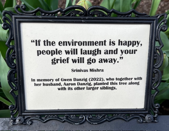 “If the environment is happy, people will laugh and your grief will go away."(Srinivas Mishra) In memory of Gwen Danzig (2022), who together with her husband, Aaron Danzig, planted this tree along with its other larger siblings, 