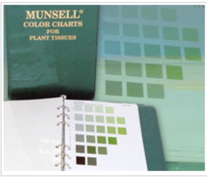 Munsell botanical colors: color as a symbol and as a pattern